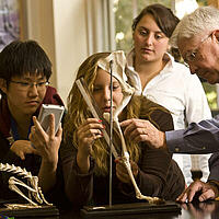 Naturwissenschaften an der Mercersburg Academy